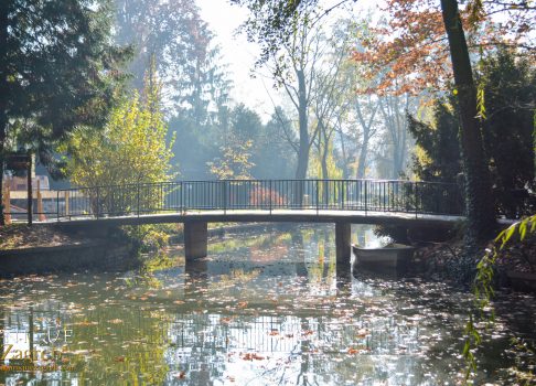Through unique eyes: Maksimir dressed for Autumn!